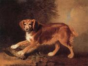 A Celebrated spaniel,the property of colonel joliffe,in a landscape with a woodcock, Benjamin Marshall